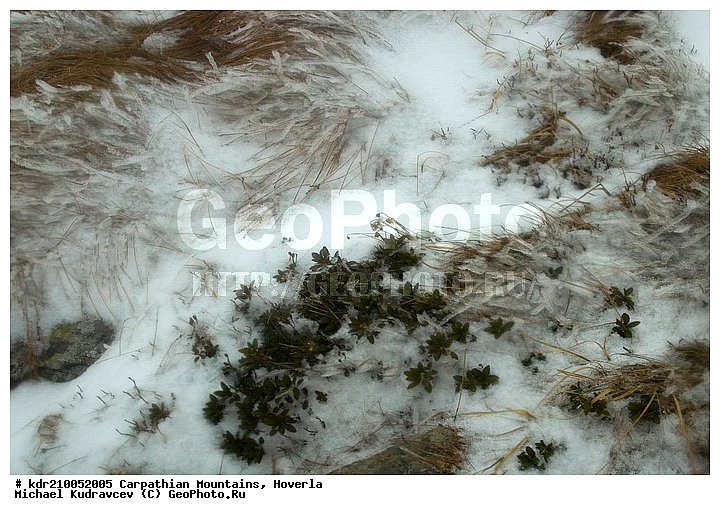 �������, �������, �������, �����, ���