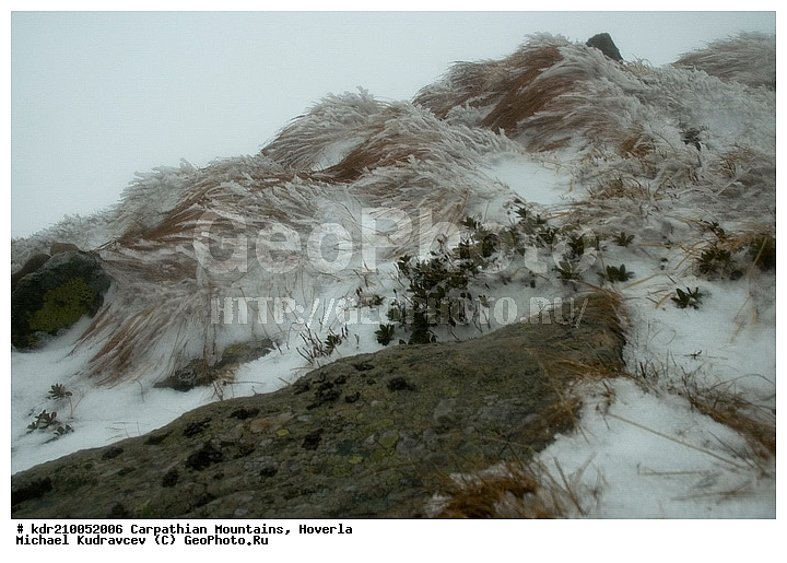 �������, �������, �������, �����, ���