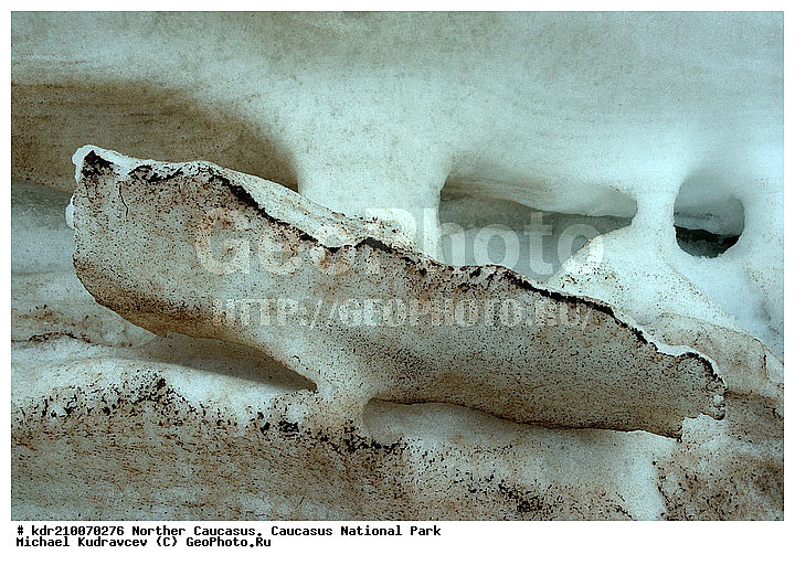 ����������, ������, ��������� ����������, ���������� ���������� ����������, �������� ������, �����, �����������, ����������, ����, ����, ���, �������, ����, ���������, �����������, ����������, ����, ������� ����������, �������, �������, �����, ��������, ����, �������, ������