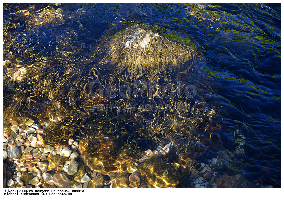 �������� ������, ������, ������, ������������� ����