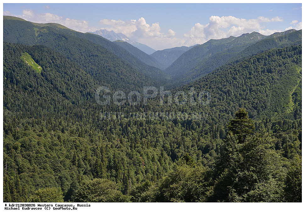 �������� ������, ������, ������, ������������� ����