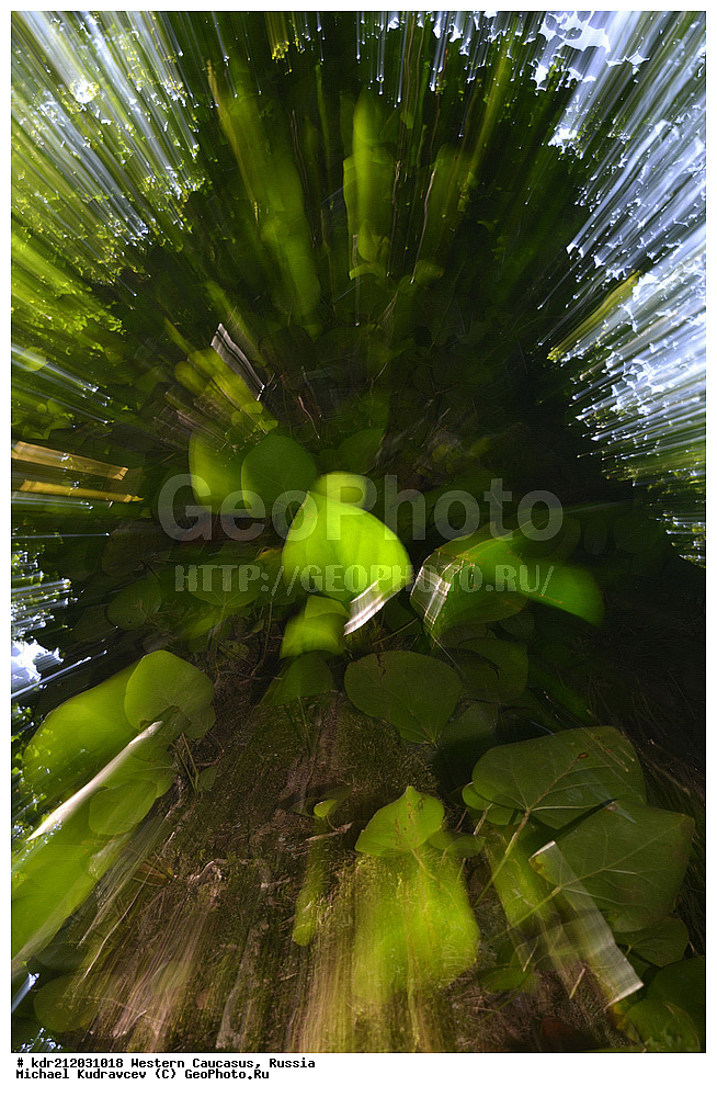 �������� ������, ������, ������, ������������� ����