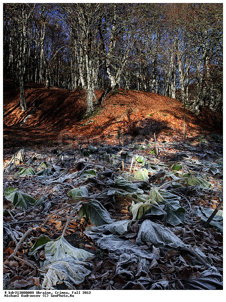 �������, ����, �����, 2012, ���, ���, ������� ���, ��������, ����, ����, ������ ����, ��-��, ����, �������, ����, ���������, ��������, ����, �����, ������, �����, �����, �����, �����, �����, �����, �����, ������, ��������, ������������, ������������,, ������, ���������� ���������, ����� ������, ���������� ����, �������� ����������, ���������� ����,