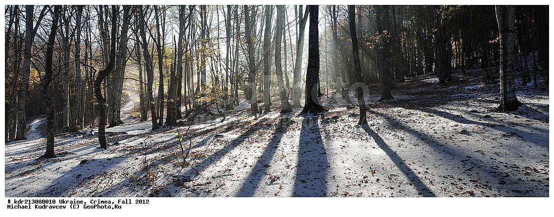 �������, ����, �����, 2012, ���, ���, ������� ���, ��������, ����, ����, ������ ����, ��-��, ����, �������, �����, ����, ���������, ��������, ����, �����, �����, ������, �����, �����, �����, �����, �����, ��������, ���������� ������,, ������, ���������� ���������, ����� ������, ���������� ����, �������� ����������, ���������� ����,