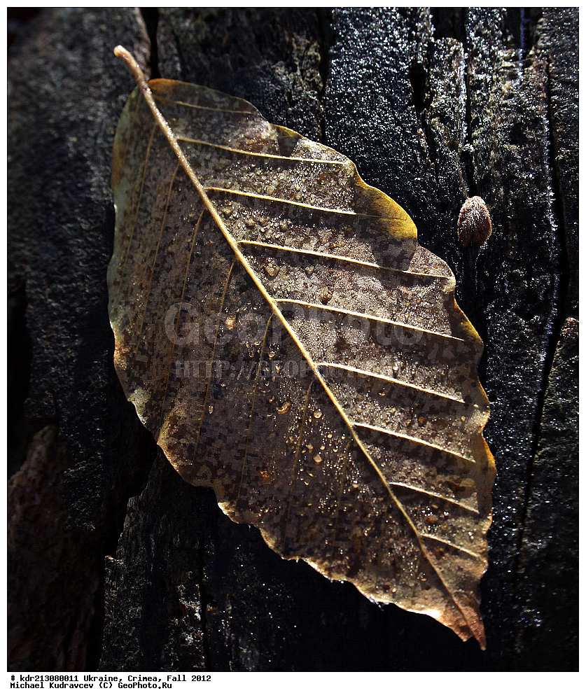 �������, ����, �����, 2012, ���, ���, ������� ���, ��������, ����,������ ����, ��-��, ����, �������, ����, ���������, ��������, ����, ����, �����, ������� ����, �����, ��������, ������, ��������, �������,, ������, ���������� ���������, ����� ������, ���������� ����, �������� ����������, ���������� ����,