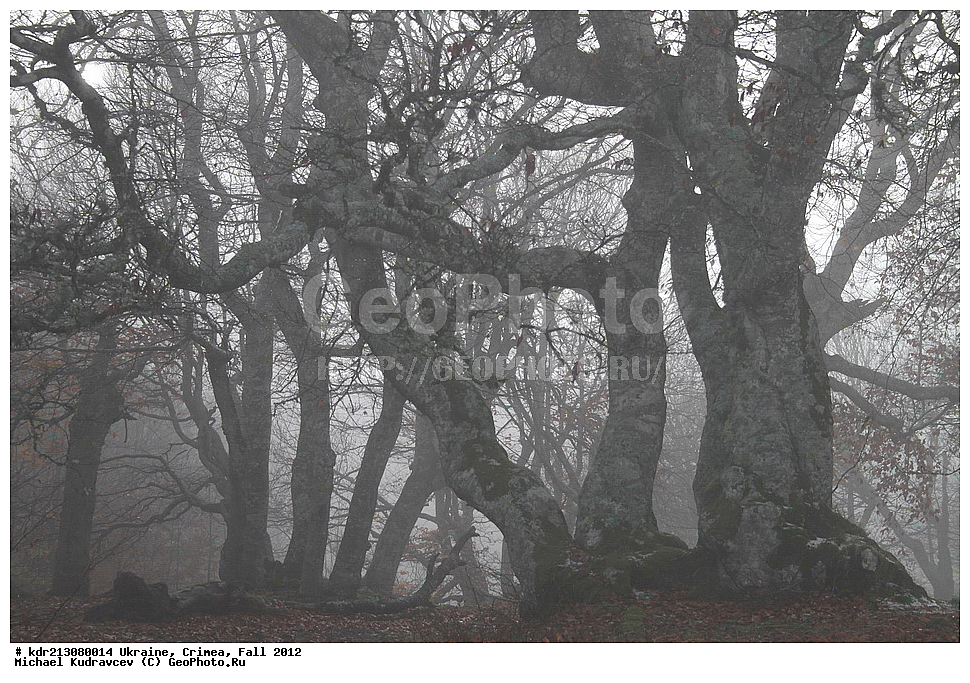 �������, ����, �����, 2012, ���, ���, ������� ���, ��������, ����, ����, ������ ����, ��-��, ����, �������, �����, ����, ���������, �����, �����, ������, �����, �����, , ������, ���������� ���������, ����� ������, ���������� ����, �������� ����������, ���������� ����,