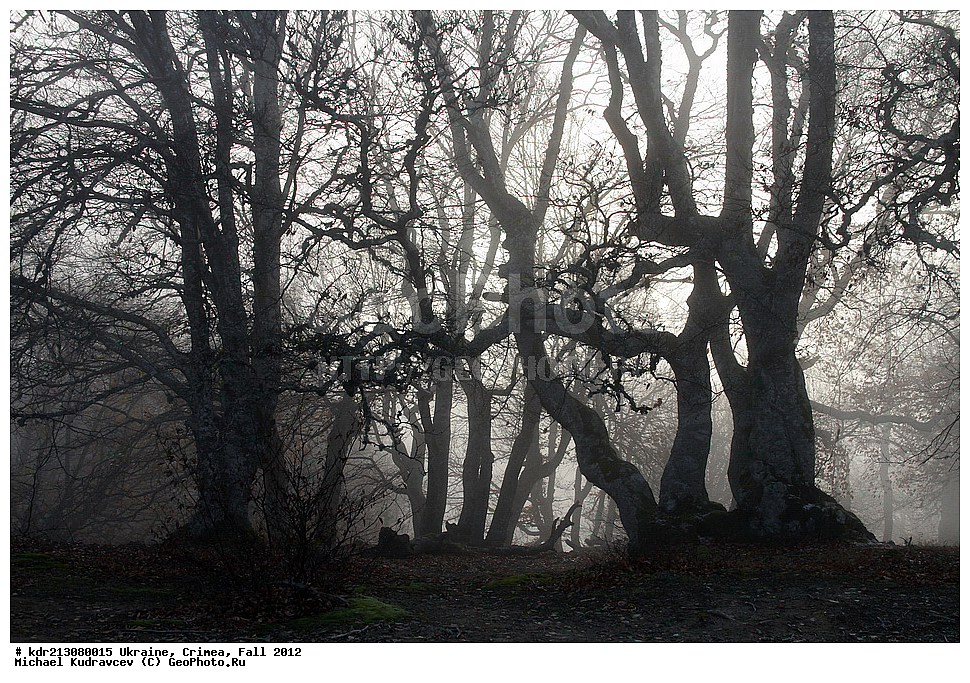 �������, ����, �����, 2012, ���, ���, ������� ���, ��������, ����, ����, ������ ����, ��-��, ����, �������, �����, ����, ���������, ��������, �����, �����, ������, �����, �����, �����, �����, �����, , ������, ���������� ���������, ����� ������, ���������� ����, �������� ����������, ���������� ����,