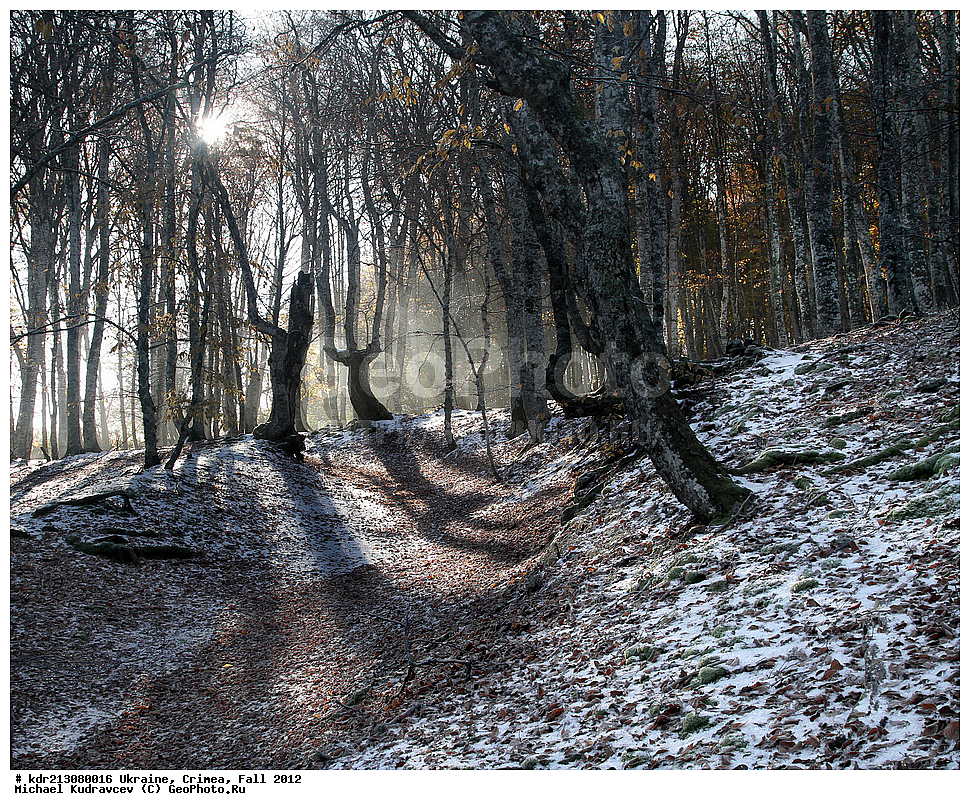 �������, ����, �����, 2012, ���, ���, ������� ���, ��������, ����, ����, ������ ����, ��-��, ����, �������, �����, ����, ���������, ��������, ����, �����, �����, ������, �����, �����, �����, �����, �����, ������, , ������, ���������� ���������, ����� ������, ���������� ����, �������� ����������, ���������� ����,