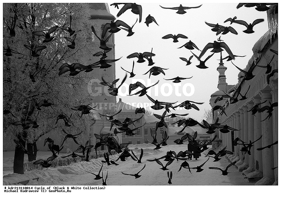 �����-����� ����������, ��������