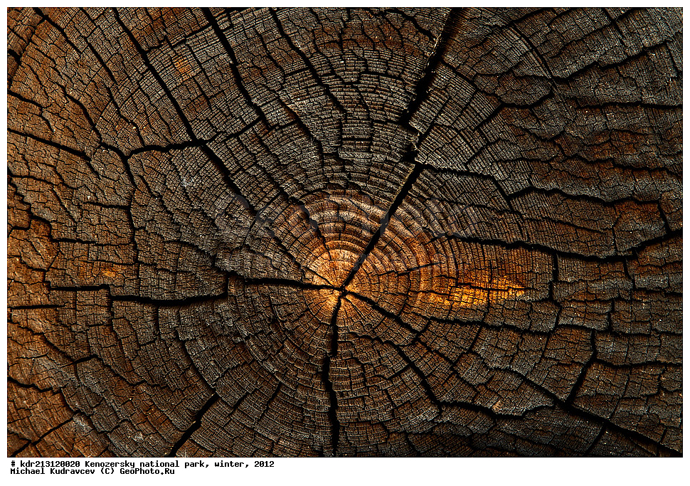 ����, �����, ���������, ����������� �������, �����, ��������,  2012, ������������� �������, ����������� ������������ ����, ��������, ���-�����, ���������, ���������, �������, ��������, �������, ������, �������, ���������, ������ �� ������, �������� ��������, ������� ������, ������, ��������, ����������, �������,