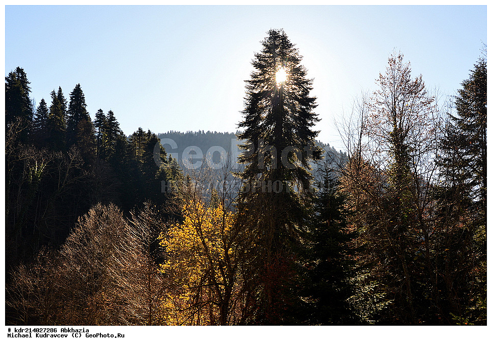 �������, �������,  ������� �������, ����, �����, �����������, ������, ����,  ��������� ������������ ����, ������, ������� ������, ������� ���������� ������, ���, �������� ������, ���������� ����, ��������, ��������, ���, �������, �����, ������, ����, ��������, ��������� ����, ���, ������, ������, ������ ��������,