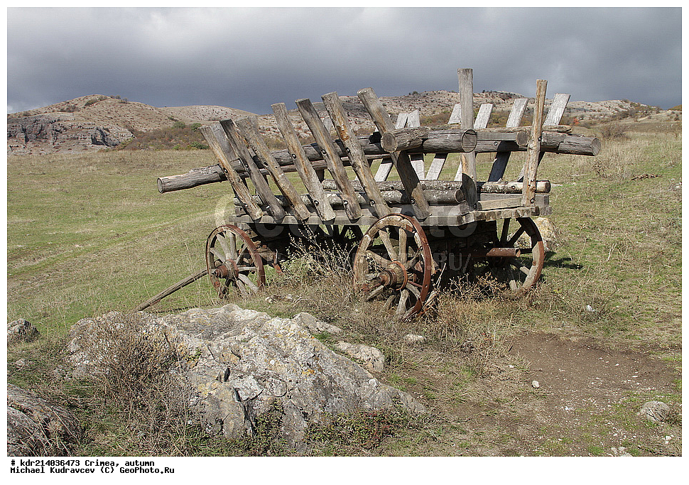 ����, �����