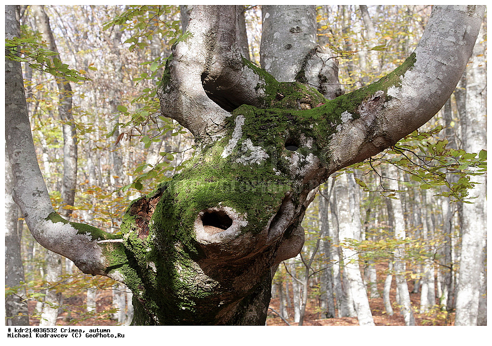 ����, �����, ����, �����, ������, ���������� ���������, ����� ������, ���������� ����, �������� ����������, ���������� ����,, ������, ���������� ���������, ����� ������, ���������� ����, �������� ����������, ���������� ����,, �������, ����, �����, 2012, ���, ���, ������� ���, ������� ���, ��������� ���, ��������, ����, ����, ������ ����, �����, ������, �����, �����, ������, ���������� ���������, ����� ������, ���������� ����, �������� ����������, ���������� ����, ���������, ������, ����, ������, ������, ��������,