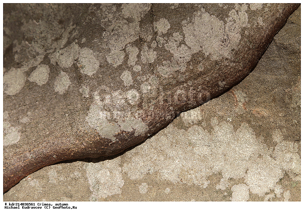 ����, �����, ������, ���������� ���������, ����� ������, ���������� ����, �������� ����������, ���������� ����,, ������, ���������� ���������, ����� ������, ���������� ����, �������� ����������, ���������� ����,, �������, ����, �����, 2012, ���, ���, ������� ���, ������� ���, ��������� ���, ��������, ����, ����, ������ ����, �����, ������, �����, �����, ������, ���������� ���������, ����� ������, ���������� ����, �������� ����������, ���������� ����, ���������, ������, ����, ������, ������, ��������,