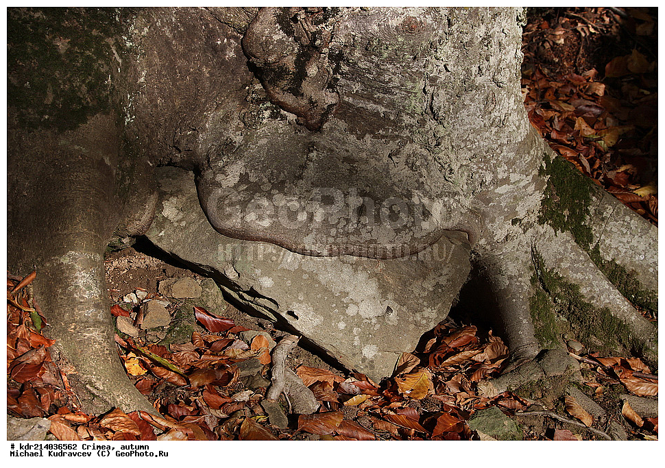 ����, �����, ����, �����, ������, ���������� ���������, ����� ������, ���������� ����, �������� ����������, ���������� ����,, ������, ���������� ���������, ����� ������, ���������� ����, �������� ����������, ���������� ����,, �������, ����, �����, 2012, ���, ���, ������� ���, ������� ���, ��������� ���, ��������, ����, ����, ������ ����, �����, ������, �����, �����, ������, ���������� ���������, ����� ������, ���������� ����, �������� ����������, ���������� ����, ���������, ������, ����, ������, ������, ��������,