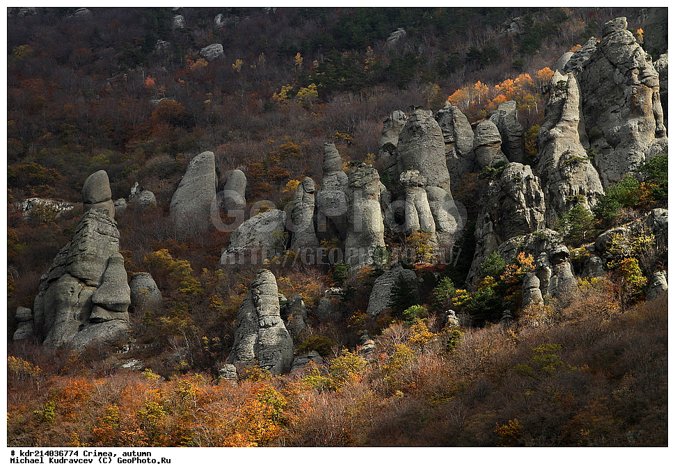 ����, �����, ����, �����, �������, ����, �����, 2012,  ����, ����, ������ ����, ���� ��������, ��������, ��������, �������, ����-������, ������-����, ��������� ����, �����, ������������, ������, �������, �������, ��������, �������������, ������ �����, �������� �������, ������ ����������, "������ ����������", 