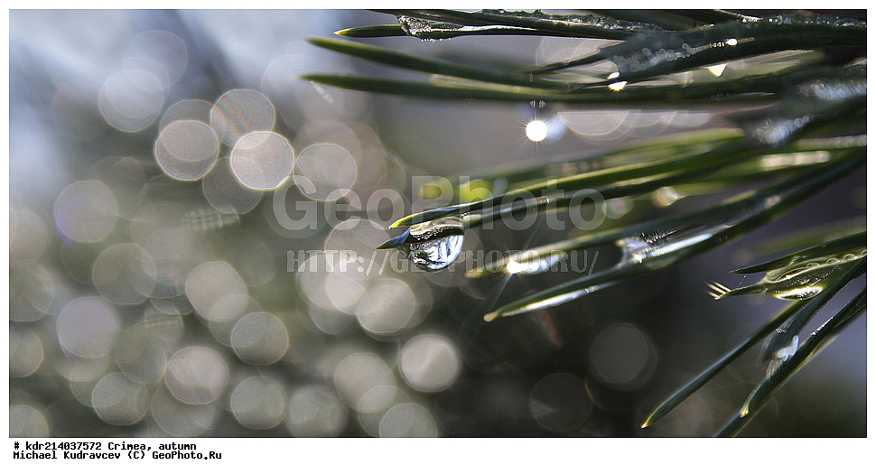 ����, �����