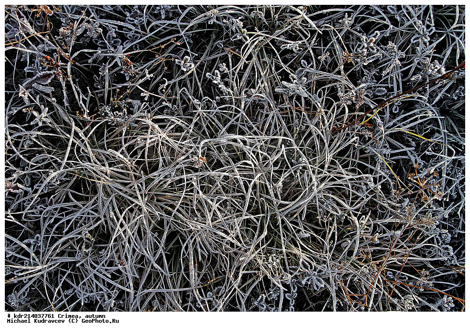 ����, �����, �������, ����, �����, 2012, ����, ����, ������ ����,  ����, �������, �����, ����, ���������,  ����, �����, �����, ����, ���, �������, ��������, ������ ��������, ����, �������������� ����, �����, 