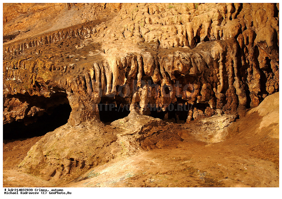 ����, �����