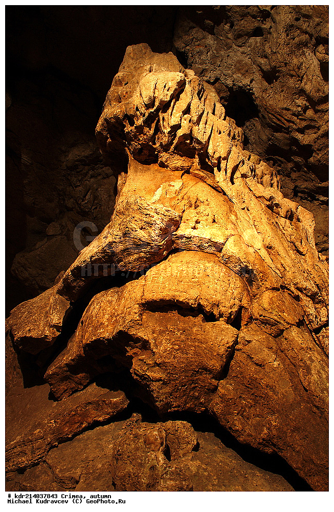 ����, �����