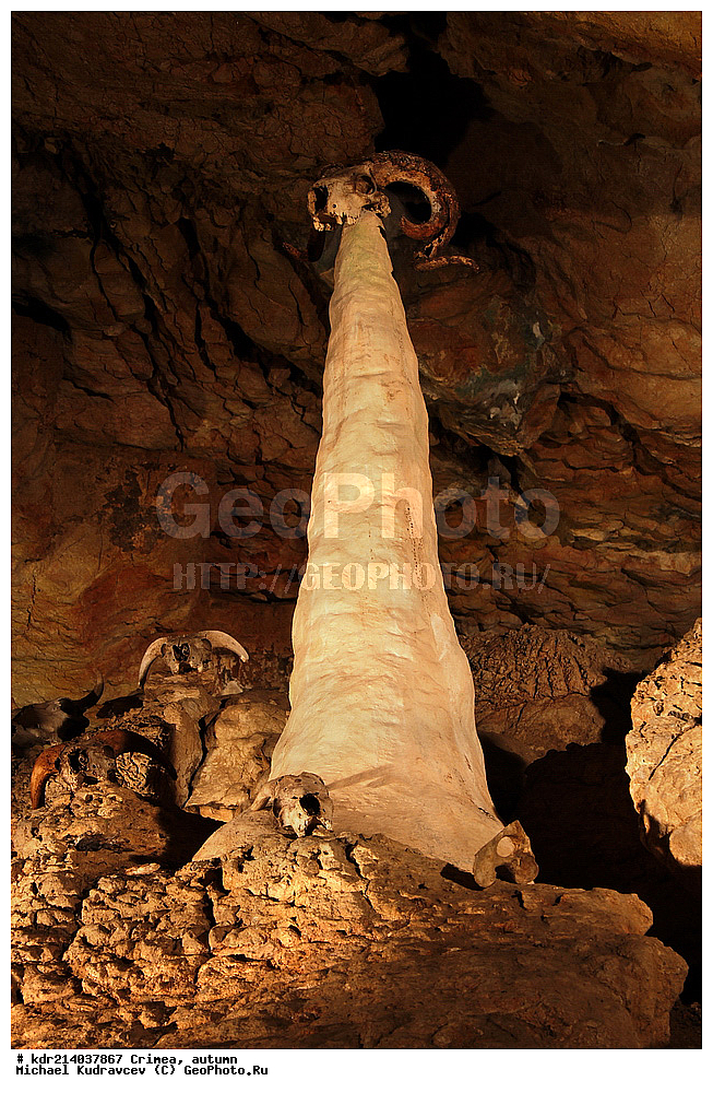 ����, �����