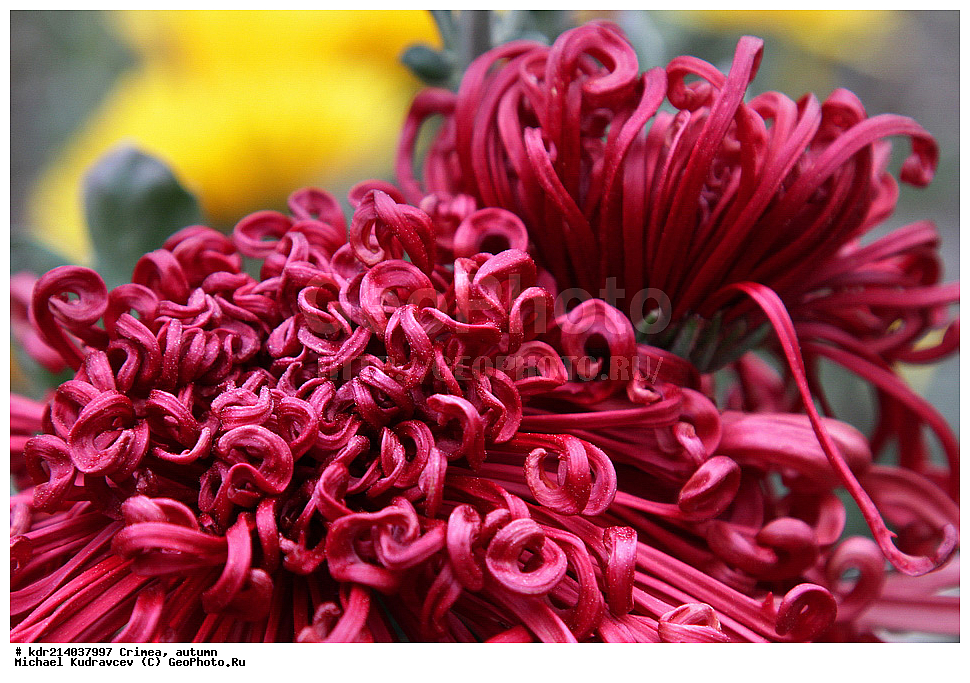 ����, �����, ����, �����, ������, ���������� ���������, ����� ������, ���������� ����, �������� ����������, ���������� ����, ������, ���������� ���������, ����� ������, ���������� ����, �������� ����������, ���������� ����, ����, �����, ������, ���������� ���������, ����� ������, ���������� ����, �������� ����������, ���������� ����, ������, ���������� ���������, ����� ������, ���������� ����, �������� ����������, ���������� ����, �������, ����, �����, 2012, ������, ���������� ���������, ����� ������, ���������� ����, �������� ����������, ���������� ����, ������������ ���, ��������� ������������ ���, ����, ����� ����, ����������, ��������� "����� ���������", ����� ���������, �����, 