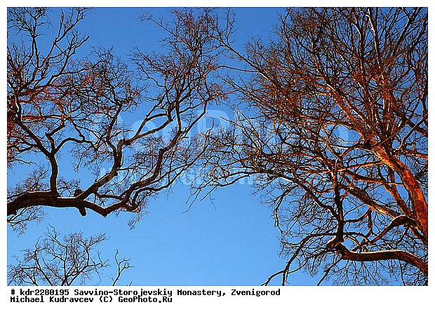 ����������, ���, �����������, �����, �����, ���, �����, ����, ���������, �������, �������� �����������