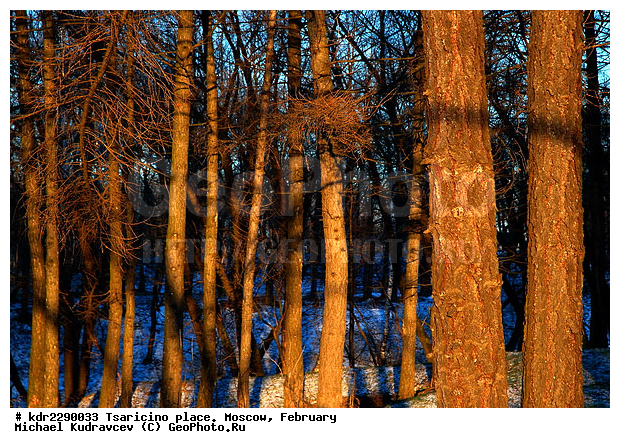 ��������, �������, �������