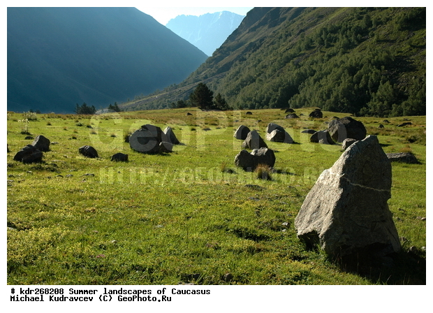 ������, �������� ������, ���������� ����, ���������, ������������