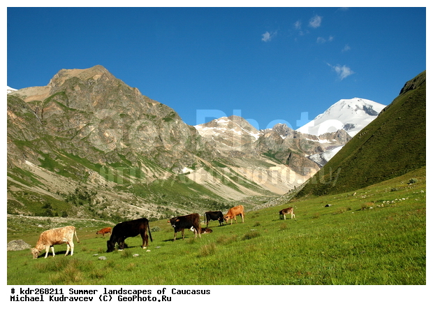 ������, �������� ������, ���������� ����, ���������, ������������