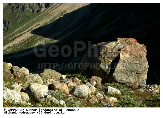 ������, �������� ������, ���������� ����, ���������, ������������