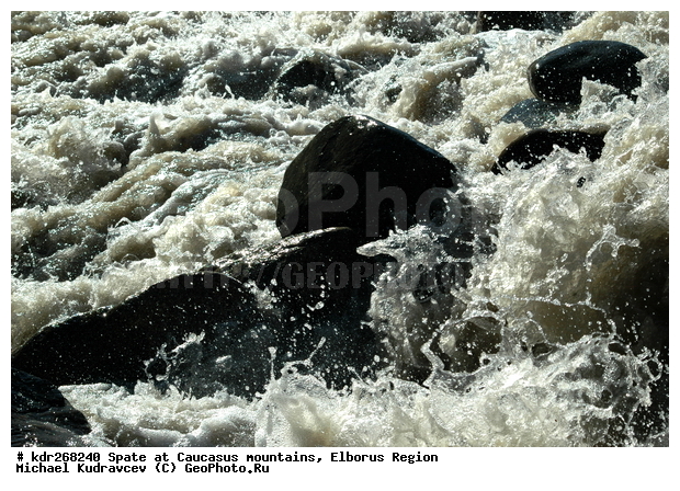 ������, ������������, ����, �����, ������, ����