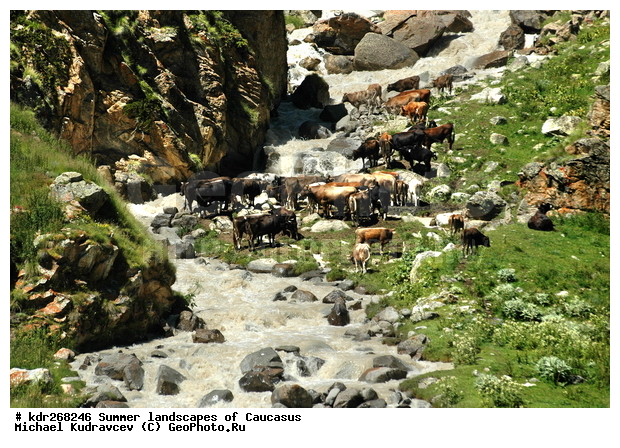 ������, �������� ������, ���������� ����, ���������, ������������