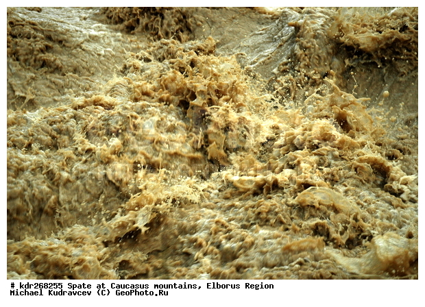 ������, ������������, ����, �����, ������, ����