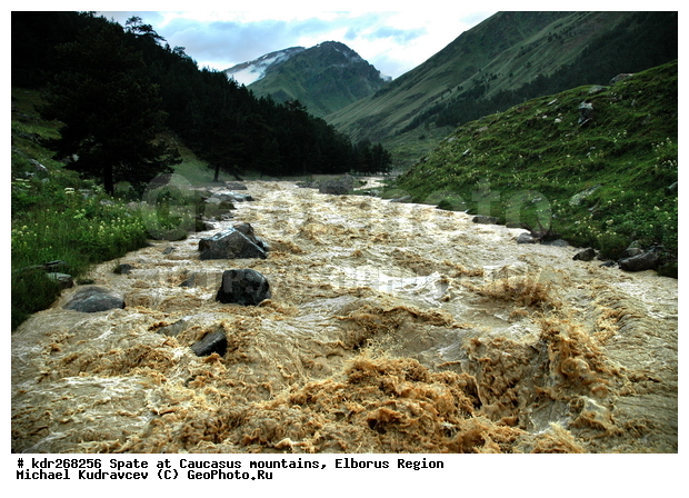 ������, ������������, ����, �����, ������, ����