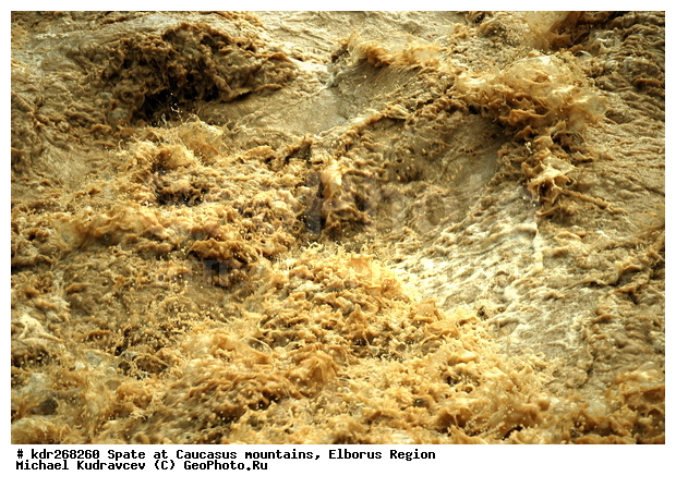 ������, ������������, ����, �����, ������, ����