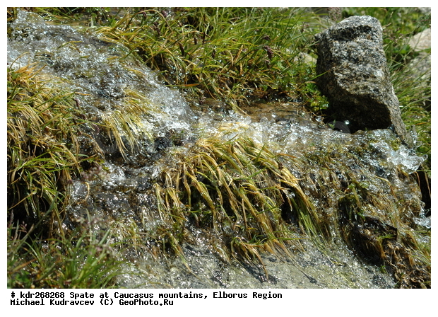 ������, ������������, ����, �����, ������, ����