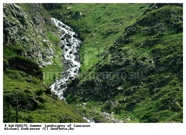 ������, �������� ������, ���������� ����, ���������, ������������