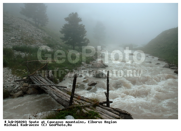 ������, ������������, ����, �����, ������, ����