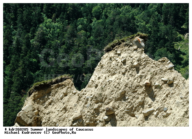 ������, �������� ������, ���������� ����, ���������, ������������