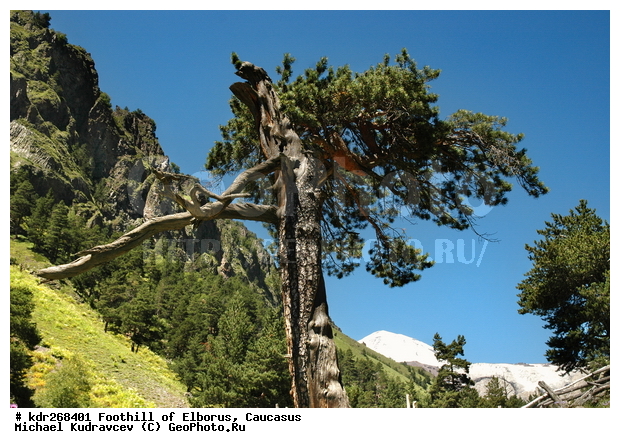 ����, ���������, ������������, �������