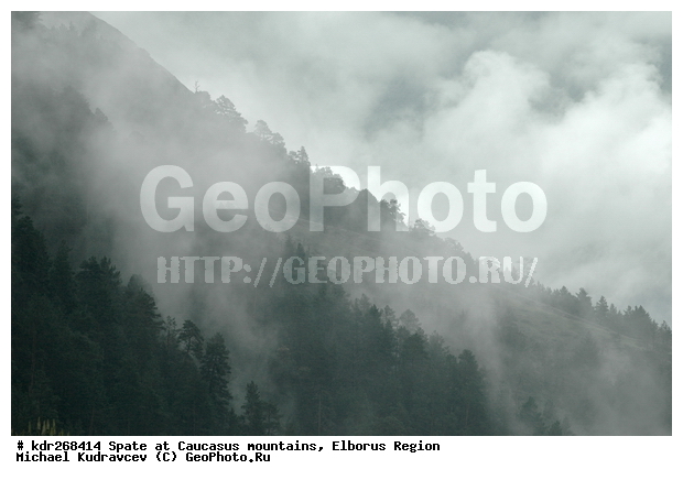 ������, ������������, ����, �����, ������, ����