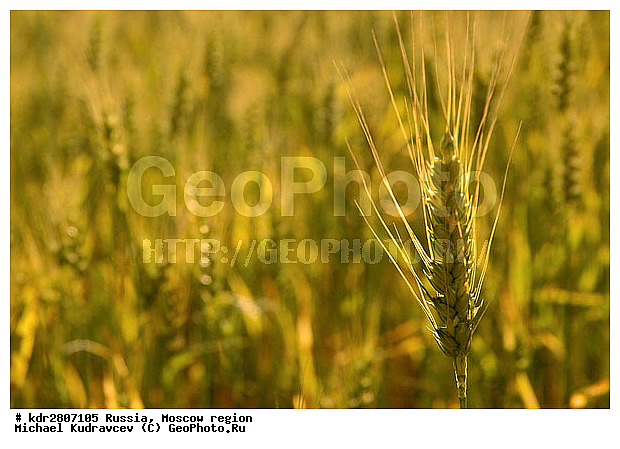 ���� �������, �����, ��������, ����, �����, ��������, �����, ����������, �������, ����, ����, �������, ��������, ��������������������, �������������������� ������, �������, ������, ������, ����, ���������