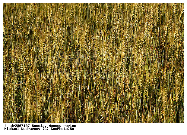 ���� �������, �����, ��������, ����, �����, ��������, �����, ����������, �������, ����, ����, �������, ��������, ��������������������, �������������������� ������, �������, ������, ������, ����, ���������