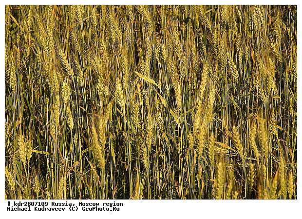 ���� �������, �����, ��������, ����, �����, ��������, �����, ����������, �������, ����, ����, �������, ��������, ��������������������, �������������������� ������, �������, ������, ������, ����, ���������