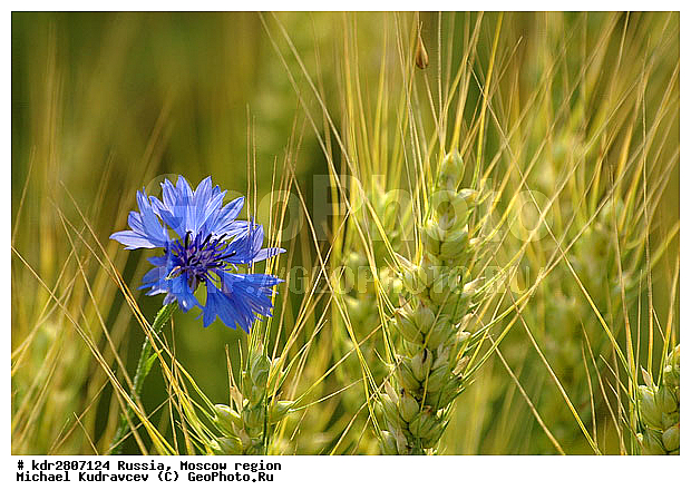 ���� �������, �������, �����, ��������, ����, �����, ��������, �����, ����������, �������, ����, ����, �������, ��������, ��������������������, �������������������� ������, �������, ������, ������, ����, ���������