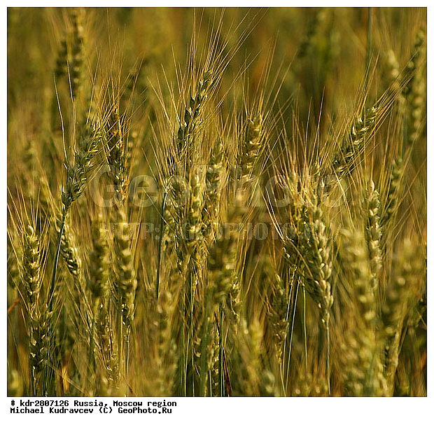 ���� �������, �����, ��������, ����, �����, ��������, �����, ����������, �������, ����, ����, �������, ��������, ��������������������, �������������������� ������, �������, ������, ������, ����, ���������