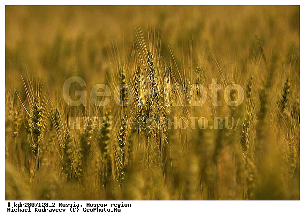 ���� �������, �����, ��������, ����, �����, ��������, �����, ����������, �������, ����, ����, �������, ��������, ��������������������, �������������������� ������, �������, ������, ������, ����, ���������