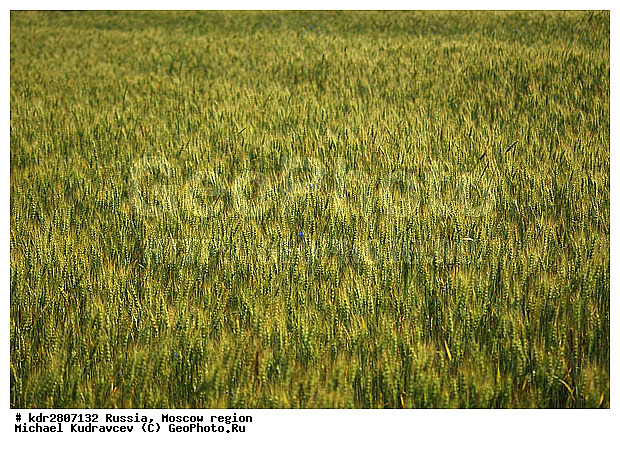 ���� �������, �����, ��������, ����, �����, ��������, �����, ����������, �������, ����, ����, �������, ��������, ��������������������, �������������������� ������, �������, ������, ������, ����, ���������