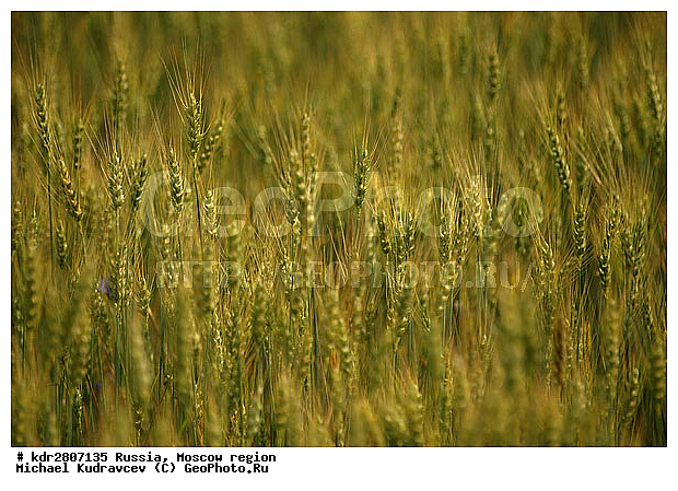 ���� �������, �����, ��������, ����, �����, ��������, �����, ����������, �������, ����, ����, �������, ��������, ��������������������, �������������������� ������, �������, ������, ������, ����, ���������